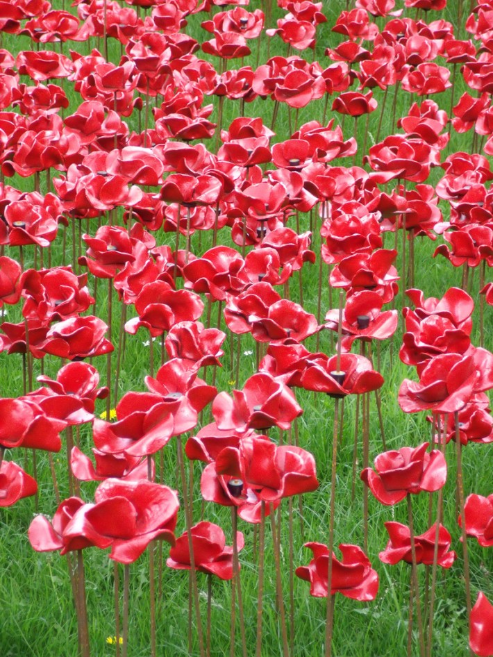 Poppies at the Tower of London