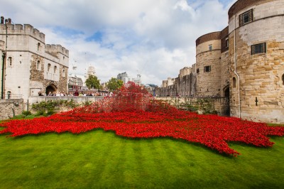 Tower of London poppy installation