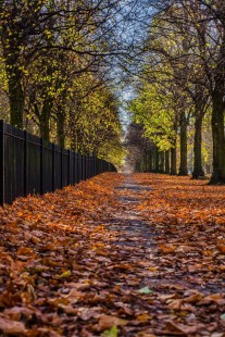 Errwood Road, Levenshulme