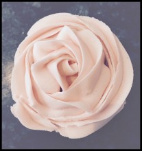 Trifles Bakery Cupcake Decorating Course