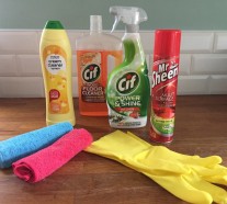 Cleaning products, dusters and rubber gloves